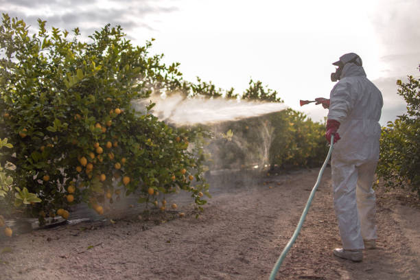 Best Emergency Pest Control  in Hallstead, PA