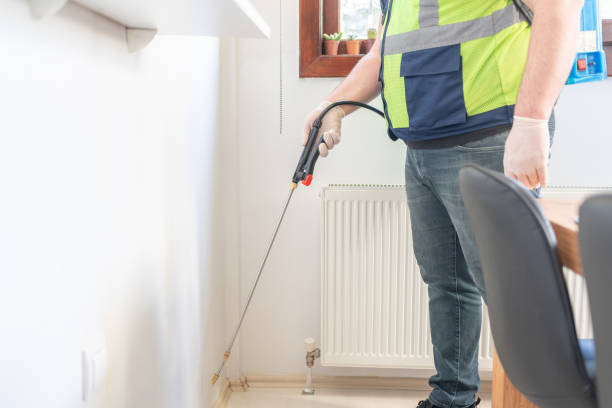 Best Wasp Removal Services  in Hallstead, PA