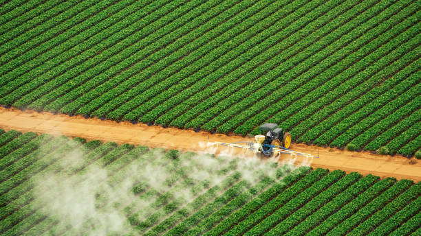Best Pest Removal Services  in Hallstead, PA