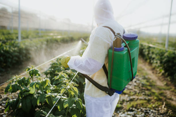 Best Affordable Pest Control Services  in Hallstead, PA
